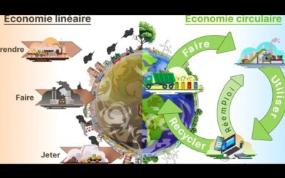 « Du linéaire au circulaire »*